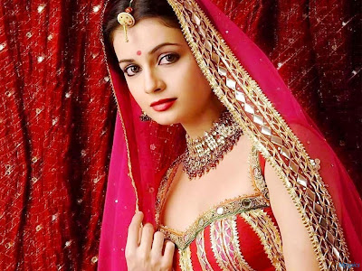 Bollywood Actress Diya Mirza Hot Sexy Images 1024x768 Pics