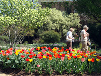 Perennial Garden