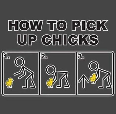 Instructions to pick up a chick