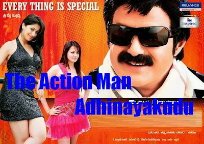 Poster Of The Action Man Adhinayakudu (2012) Full Movie Hindi Dubbed Free Download Watch Online At worldfree4u.com