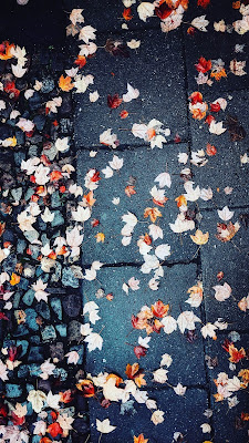 Multi-category new hd nature wallpapers free to download for mobile