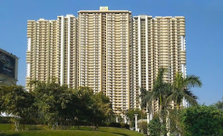 Front-view-Saya-Gold-Avenue