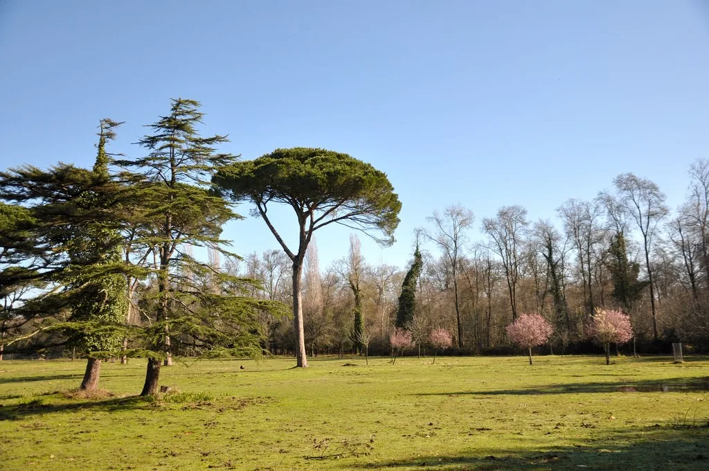 Regional Park of Migliarino San Rossore Massaciuccoli Italy