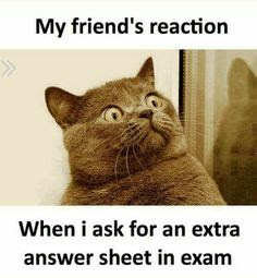 Funny Exam Quotes