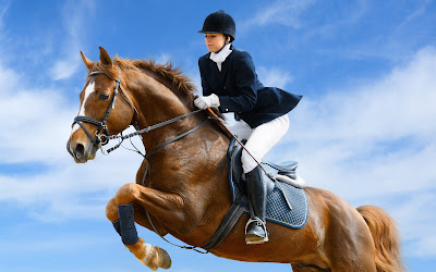 Fotografías de caballos I (hermosos equinos de pura sangre)