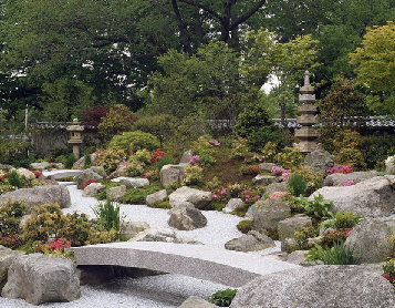 Japanese Garden Plants