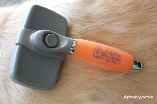 dog grooming tools, GoPets slicker brush, grooming your golden retriever