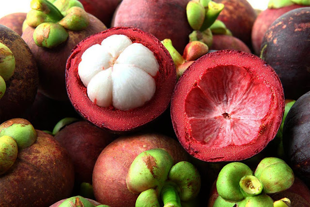 manfaat kulit buah manggis
