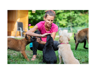 Socialization plays a significant role in shaping your puppy's personality and behavior. By exposing your puppy to different situations and experiences, you are helping them build confidence, reduce fear and anxiety, and develop good social skills.