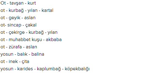 10. Sınıf Açılım Yayınları Biyoloji Ders Kitabı 203. Sayfa Cevapları Ekosistem Ekolojisi