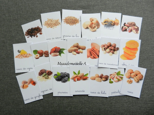 || Cartes de nomenclature ; Fruits secs et graines