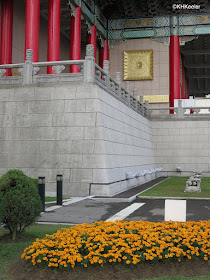 marigolds, Taipei, Taiwan