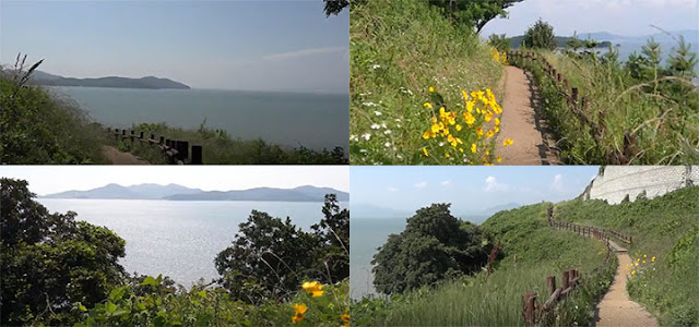 영종도-예단포-둘레길-전경