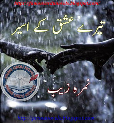 Tere ishq ke aseer novel pdf by Nimra Zaib Complete