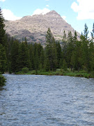 There's stuff to see wherever you look in Yellowstone. (yellowstone stream )