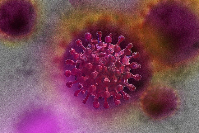 فيروس,فيروس كورونا،كوفيد-19،coronavirus،بكتيريا،فيروس الإنفلونزا،نهاية العالم،COVID-19