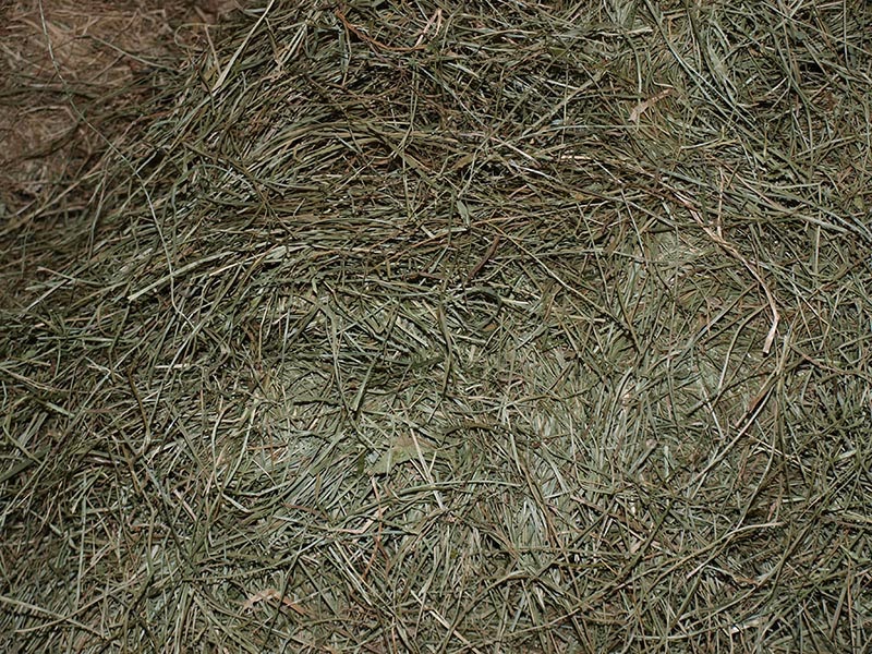 http://www.silagealmopias.gr/p/haylage.html