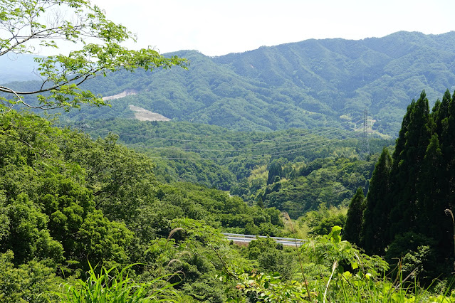 鳥取県西伯郡南部町福居 西伯根雨線からの眺望