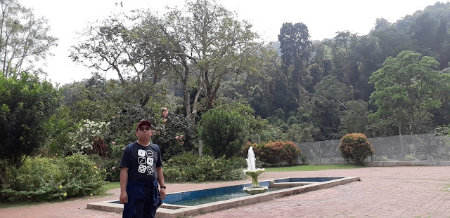 Taman Botanikal Pulau Pinang