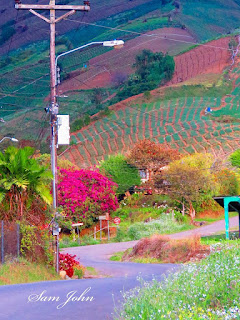 Guadalupe en Chiriquí