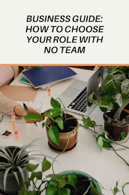Business guide: How to choose your role with no team