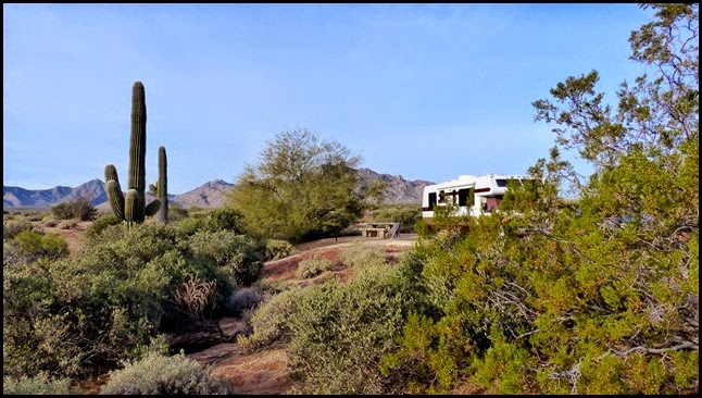 P1130296