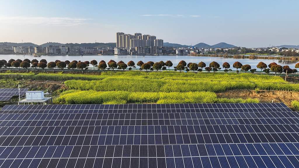 A Solar-Powered Symphony:  Where Technology Meets Nature in China