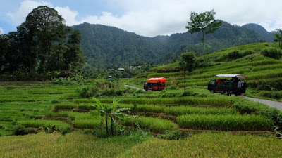 petungkriyono cultural technoforestry park, wisata ke petungkriyono, kopi petong, kopi petungkriyono, curug sibedug petungkriyono, curug lawe petungkriyono, curug bajing petungkriyono, rumah pohon petungkriyono