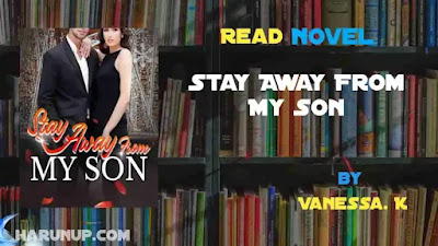 Stay Away From My Son Novel