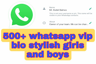 500+ whatsapp vip bio stylish girls and boys