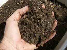 ORGANIC FERTILIZER