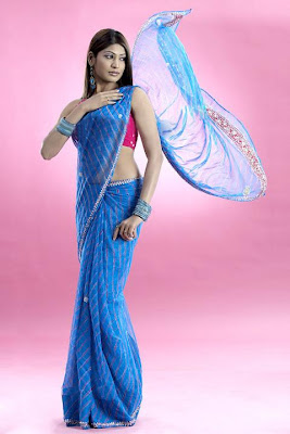 Vijaylakshmi mallu actress in Blue Saree