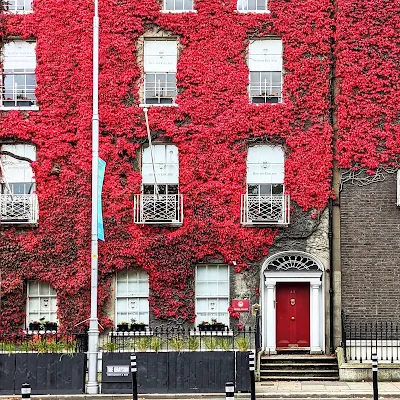 Red ivy on a building along St. Stephen's Green in Dublin in October