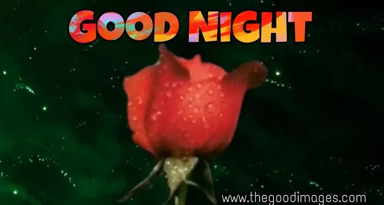 Gud Night Rose Images