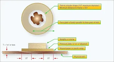 Repair of Wood Aircraft Structures