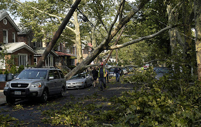 After the storm in New York