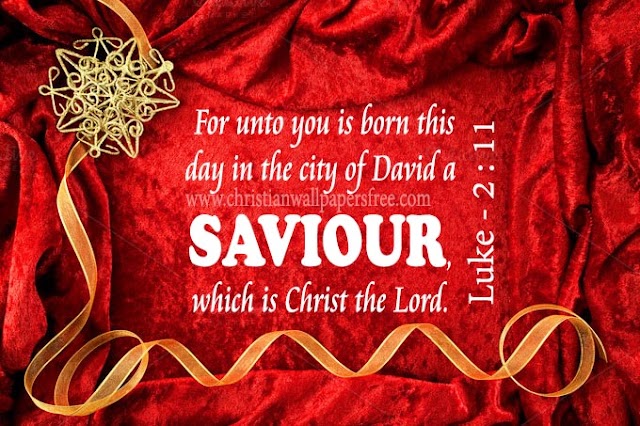 Saviour Christ the Lord has Born Christmas Greetings