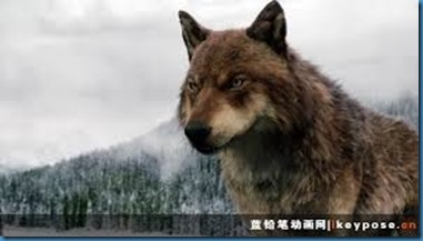 images (16)