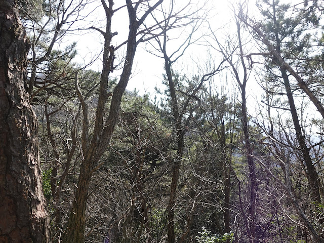 孝霊山　電波塔の山の山頂近くの孝霊山登山口から降りる