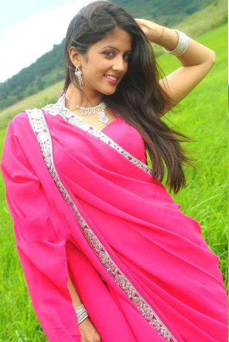 rithika in pink saree hot photoshoot