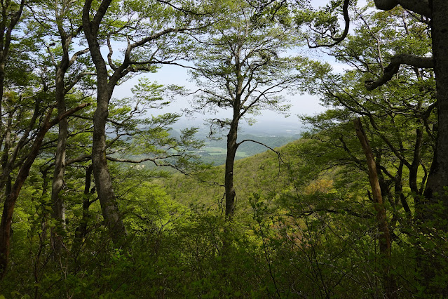 鳥取県西伯郡大山町大山 下宝珠山の登山道からの眺望