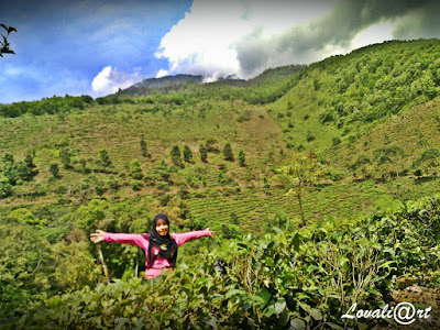 akcayatour, travel malang ngawi, travel ngawi malang