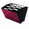 Expandable file