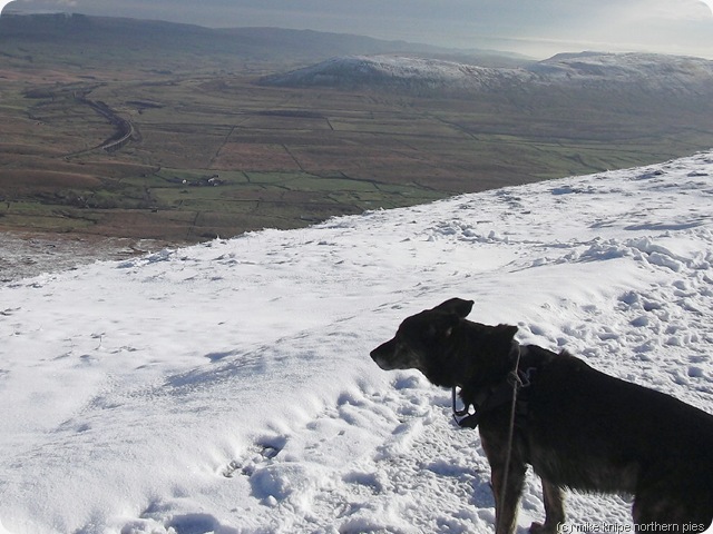 whernside 018