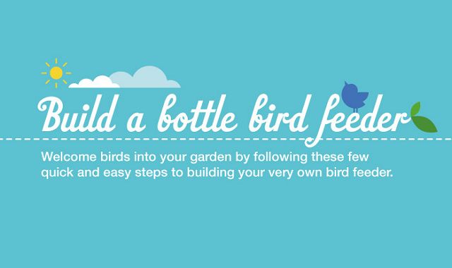 Build a Bottle Bird Feeder