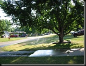 Stevensville - Watering