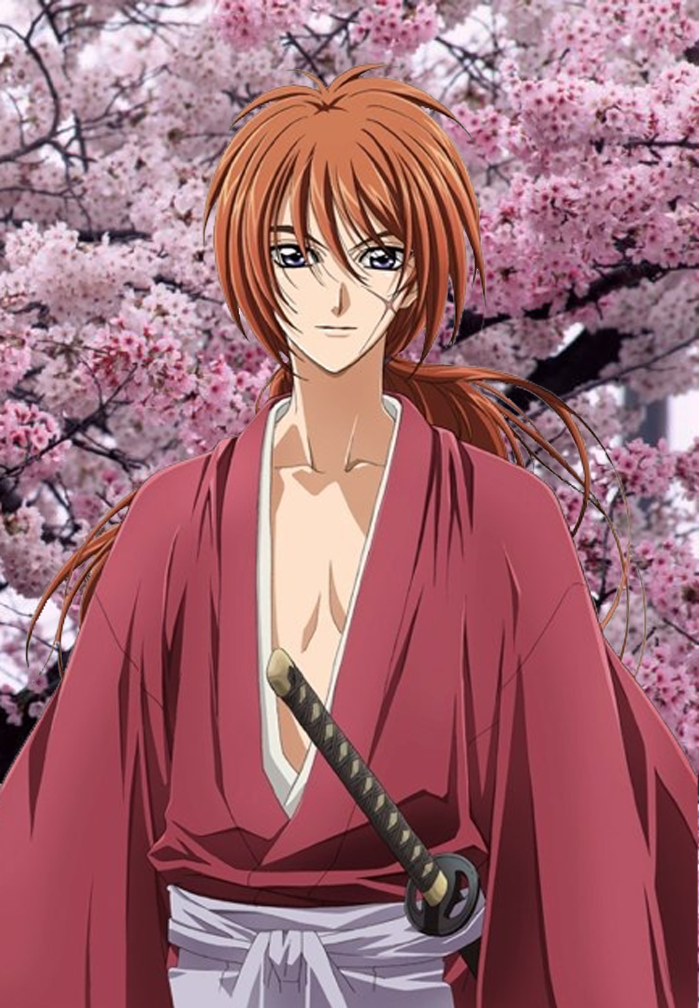  RUROUNI  KENSHIN  Ficha Blog Perjudicial Noticias y 