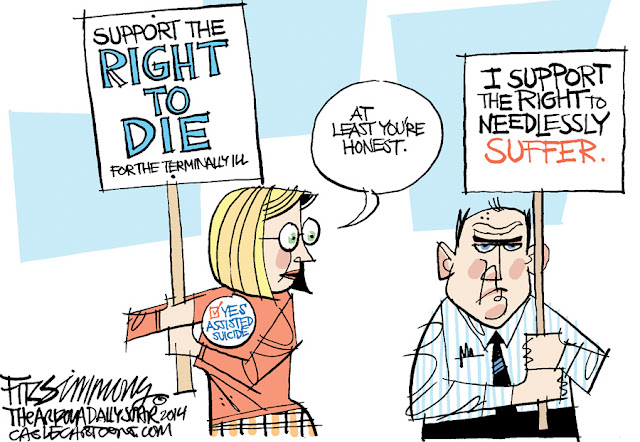 Support the right to die / needlessly suffer