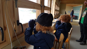 Martin Mere Wetland Centre Binoculars for children