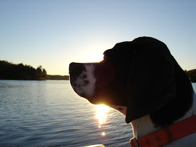 I'll miss you boy!